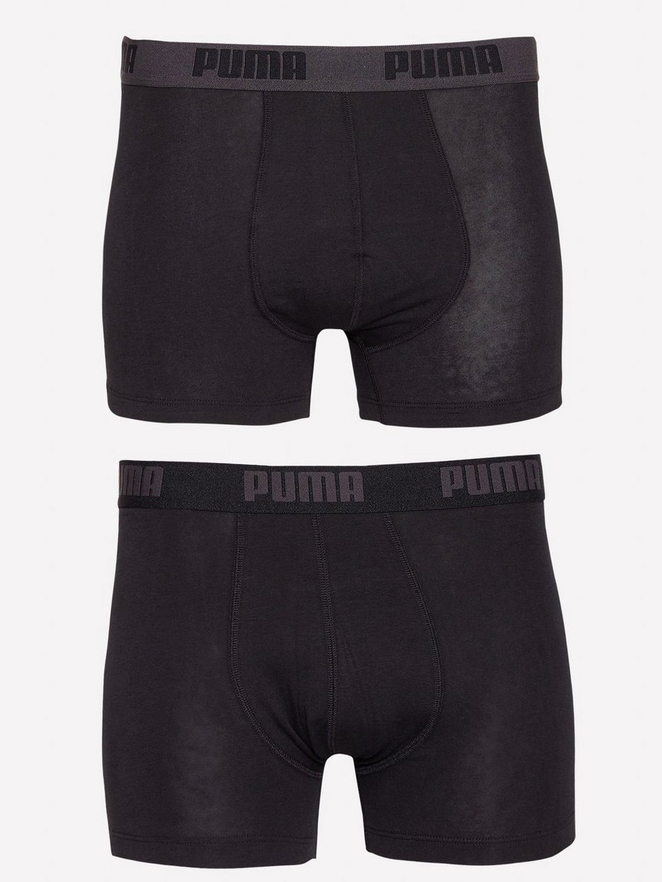 boxer puma boxer puma